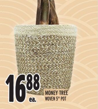 Metro Money tree offer