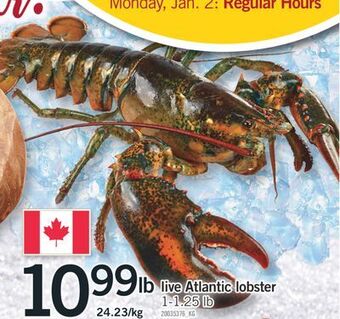 Fortinos Live atlantic lobster, 1-1.25 lb offer