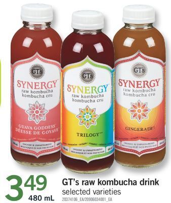 Fortinos Gt's raw kombucha drink, 480 ml offer