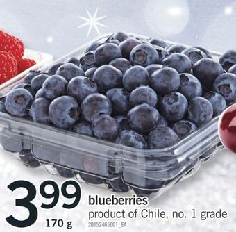 Fortinos Blueberries, 170 g offer