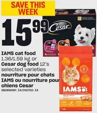 Independent Grocer Iams cat food, 1.36/1.59 kg or cesar dog food, 12's offer