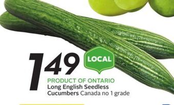 Sobeys Long english seedless cucumbers offer