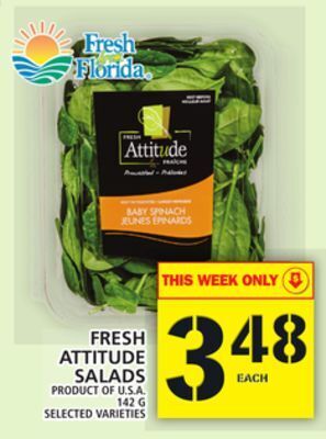Food Basics Fresh attitude salads offer