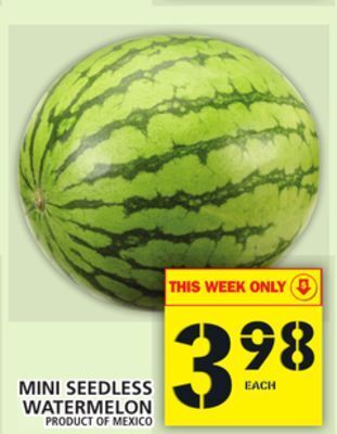Food Basics Mini seedless watermelon offer
