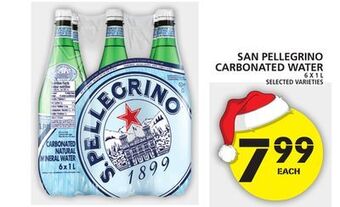 Food Basics San pellegrino carbonated water offer