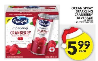 Food Basics Ocean spray sparkling cranberry beverage offer