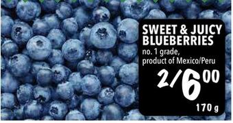 Farm Boy Sweet & juicy blueberries offer