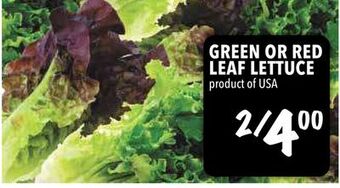 Farm Boy Green or red leaf lettuce offer