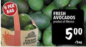 Farm Boy Fresh avocados offer