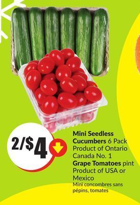 Chalo FreshCo Mini seedless cucumbers 6 pack product of ontario canada no. 1 grape tomatoes pint product of usa or mexico offer