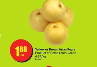 Chalo FreshCo Yellow or brown asian pears product of china fancy grade 4.14/kg offer