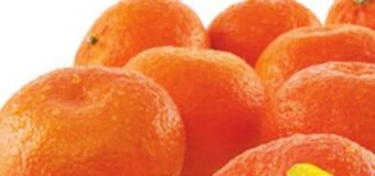 Giant Tiger 2 lb clementines offer