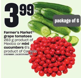 Zehrs Markets Farmer's market™ grape tomatoes, 283 g, mini cucumbers, 6's offer