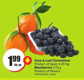 FreshCo Stem & leaf clementines product of spain 4.39/kg blackberries 170 g product of mexico offer