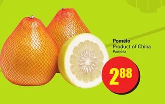 FreshCo Pomelo product of china offer