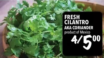 Farm Boy Fresh cilantro offer