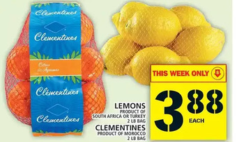 Food Basics Lemons | clementines offer