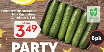 Foodland Mini cucumbers offer