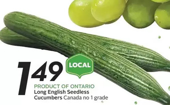 Sobeys Urban Fresh Long english seedless cucumbers offer