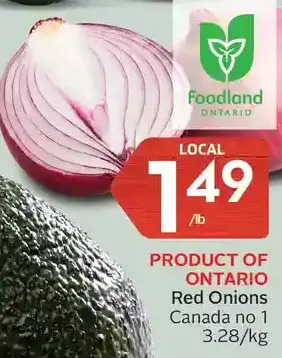 Foodland Red onions offer
