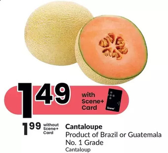 FreshCo Cantaloupe offer