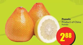 FreshCo Pomelo offer