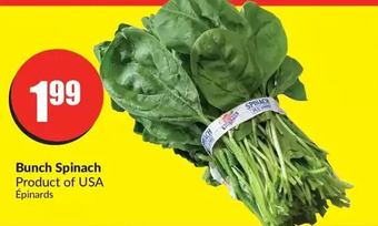 FreshCo Bunch spinach offer