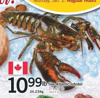 Fortinos Live atlantic lobster offer