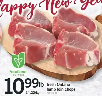 Fortinos Fresh Ontario lamb loin chops offer