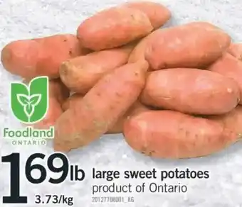 Fortinos Large sweet potatoes product of Ontario offer