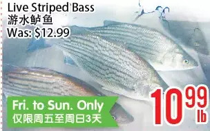 Bestco Food Mart Live striped bass offer
