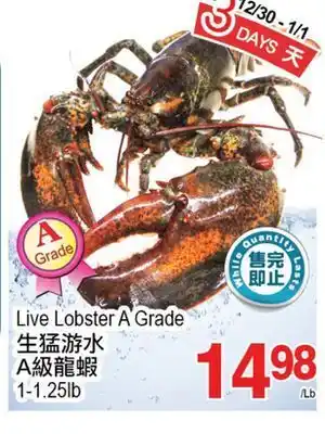 T&T Supermarket Live lobster a grade, 1-1.25 lb offer