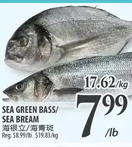 Al Premium Food Mart Sea green bass/ sea bream offer