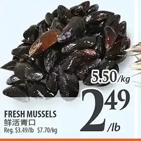 Al Premium Food Mart Fresh mussels offer