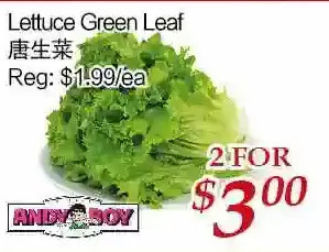 Tone Tai Supermarket Lettuce green leaf offer