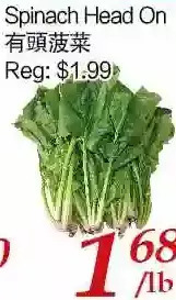 Tone Tai Supermarket Spinach head on offer
