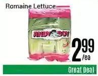 Nations Fresh Foods Romaine lettuce offer