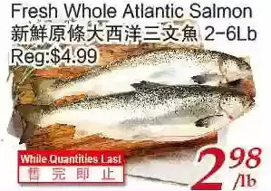 Tone Tai Supermarket Fresh whole atlantic salmon offer