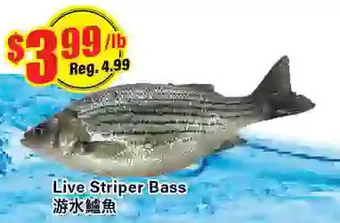 Btrust Supermarket Live striper bass offer