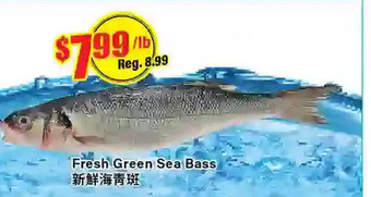 Btrust Supermarket Fresh green sea bass offer