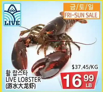 H-Mart Live lobster offer