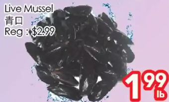 Superking Supermarket Live mussel offer