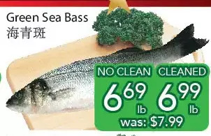 Ample Food Market Green sea bass offer