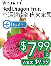 Ample Food Market Vietnam red dragon fruit offer