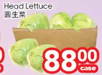 Superking Supermarket Head lettuce offer