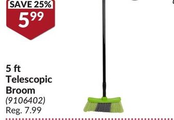 Princess Auto 5 ft telescopic broom offer