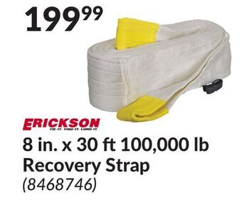 Princess Auto Erickson 8 in. x 30 ft 100, 000 lb recovery strap offer