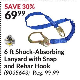 Princess Auto 6 ft shock-absorbing lanyard with snap and rebar hook offer