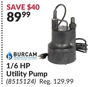 Princess Auto 1/6 hp utility pump offer