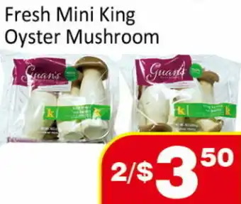 Fresh mini king oyster mushroom
